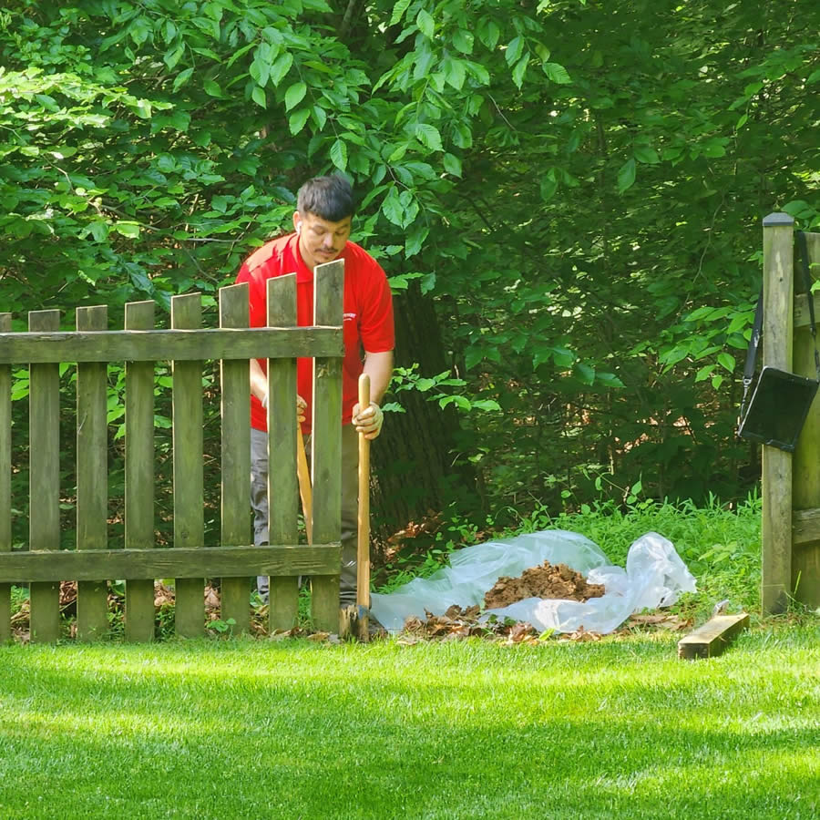 Fence Repair in Whitesboro, TX